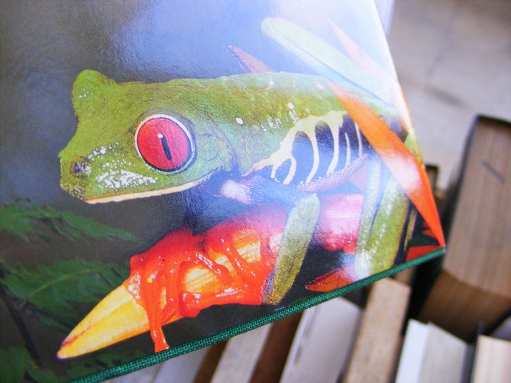 biblioteca 053 copy.jpg